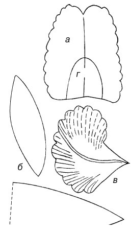 Иллюстрация к книге — Букеты. Искусственные цветы [i_021.jpg]