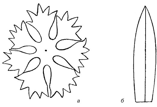 Иллюстрация к книге — Букеты. Искусственные цветы [i_023.jpg]