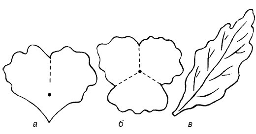Иллюстрация к книге — Букеты. Искусственные цветы [i_042.jpg]