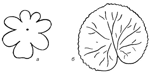 Иллюстрация к книге — Букеты. Искусственные цветы [i_051.jpg]