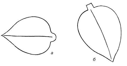 Иллюстрация к книге — Букеты. Искусственные цветы [i_054.jpg]