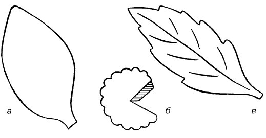 Иллюстрация к книге — Букеты. Искусственные цветы [i_060.jpg]