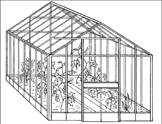 Иллюстрация к книге — Современные теплицы и парники [i_009.jpg]