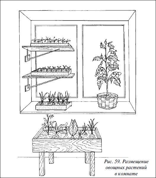 Иллюстрация к книге — Современные теплицы и парники [i_065.jpg]