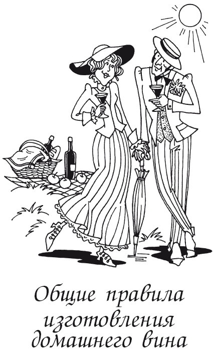 Иллюстрация к книге — Вино, наливки, самогон. Своё вкуснее! [autogen_ebook_id1.jpg]