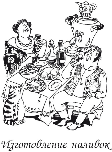 Иллюстрация к книге — Вино, наливки, самогон. Своё вкуснее! [autogen_ebook_id3.jpg]