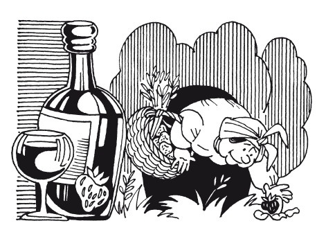 Иллюстрация к книге — Вино, наливки, самогон. Своё вкуснее! [autogen_ebook_id6.jpg]