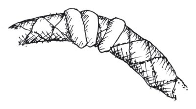 Иллюстрация к книге — Оригинальные изделия из кожи своими руками. Секреты изготовления [i_034.jpg]