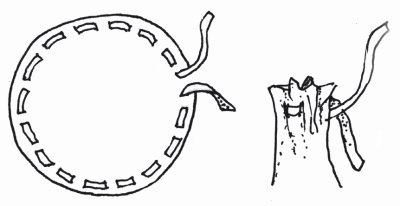 Иллюстрация к книге — Оригинальные изделия из кожи своими руками. Секреты изготовления [i_035.jpg]