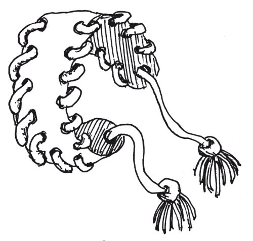 Иллюстрация к книге — Оригинальные изделия из кожи своими руками. Секреты изготовления [i_060.jpg]