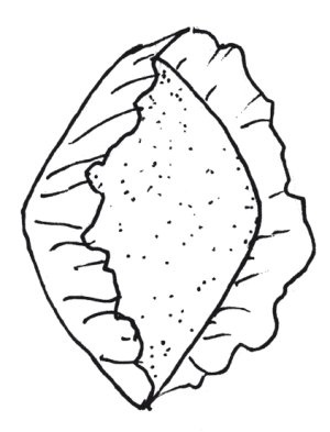 Иллюстрация к книге — Оригинальные изделия из кожи своими руками. Секреты изготовления [i_062.jpg]