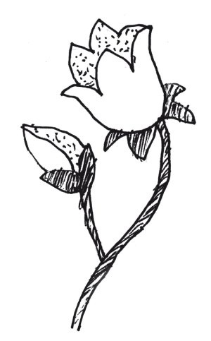 Иллюстрация к книге — Оригинальные изделия из кожи своими руками. Секреты изготовления [i_079.jpg]