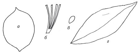 Иллюстрация к книге — Оригинальные изделия из кожи своими руками. Секреты изготовления [i_080.jpg]