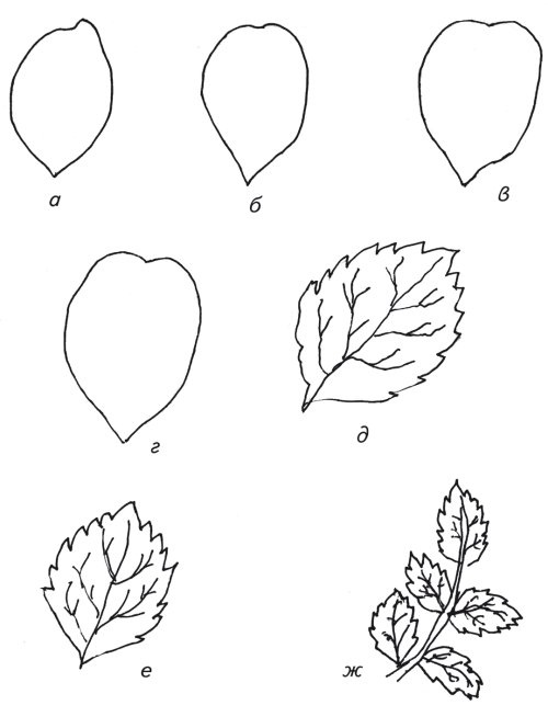 Иллюстрация к книге — Оригинальные изделия из кожи своими руками. Секреты изготовления [i_082.jpg]
