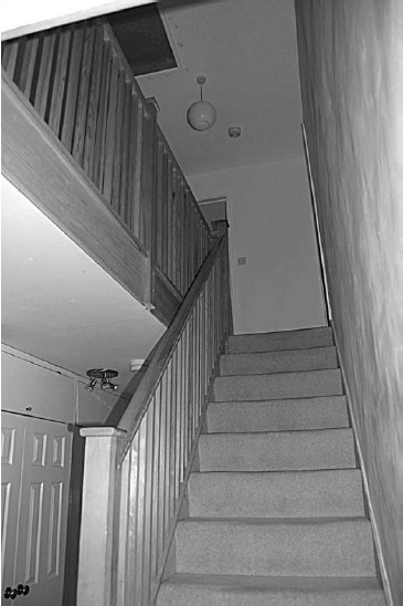 Иллюстрация к книге — Обустройство и ремонт дома быстро и дешево. Коммуникации и интерьер своими руками всего за 2 месяца [i_052.jpg]