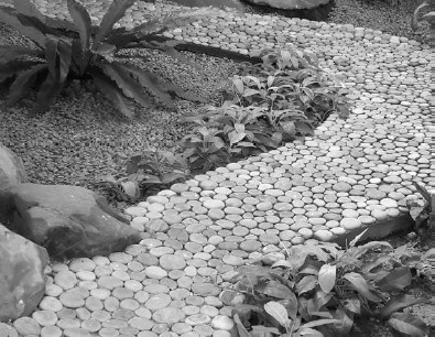 Иллюстрация к книге — Благоустройство территории вокруг коттеджа [i_022.jpg]