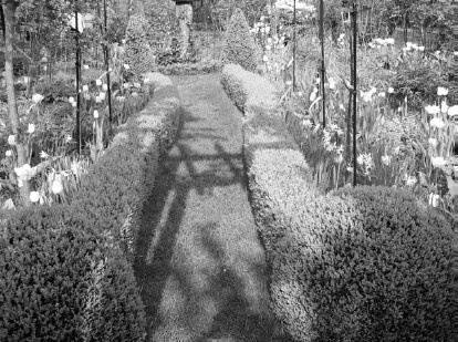 Иллюстрация к книге — Благоустройство территории вокруг коттеджа [i_027.jpg]