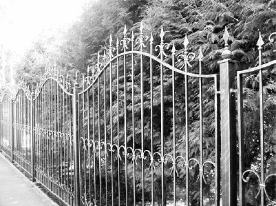 Иллюстрация к книге — Благоустройство территории вокруг коттеджа [i_028.jpg]