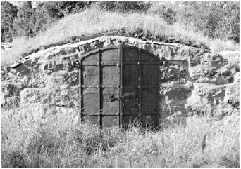 Иллюстрация к книге — Благоустройство территории вокруг коттеджа [i_036.jpg]