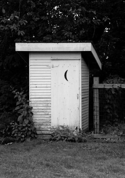 Иллюстрация к книге — Благоустройство территории вокруг коттеджа [i_041.jpg]