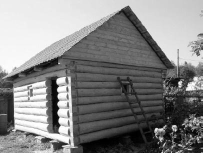 Иллюстрация к книге — Благоустройство территории вокруг коттеджа [i_050.jpg]