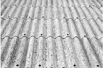 Иллюстрация к книге — Благоустройство территории вокруг коттеджа [i_054.jpg]