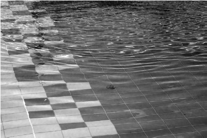 Иллюстрация к книге — Благоустройство территории вокруг коттеджа [i_064.jpg]