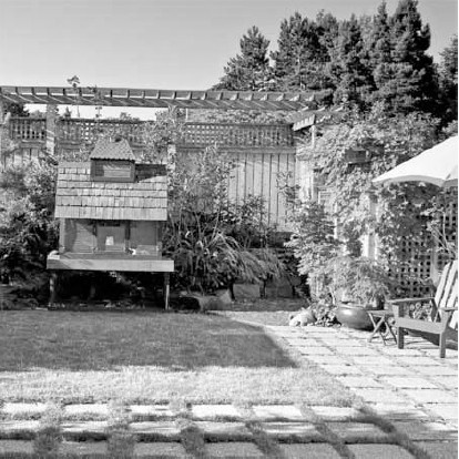 Иллюстрация к книге — Благоустройство территории вокруг коттеджа [i_074.jpg]