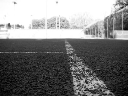 Иллюстрация к книге — Благоустройство территории вокруг коттеджа [i_075.jpg]