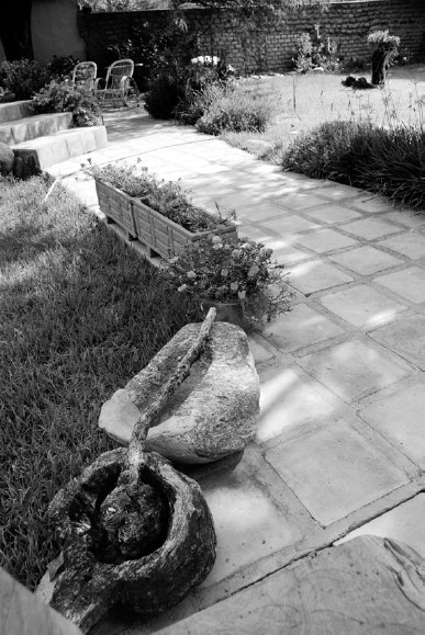 Иллюстрация к книге — Благоустройство территории вокруг коттеджа [i_079.jpg]