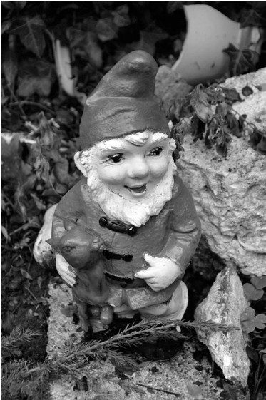 Иллюстрация к книге — Благоустройство территории вокруг коттеджа [i_091.jpg]