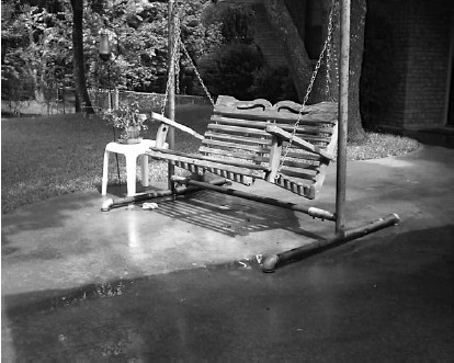 Иллюстрация к книге — Благоустройство территории вокруг коттеджа [i_094.jpg]