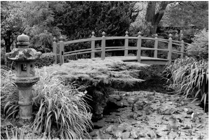 Иллюстрация к книге — Благоустройство территории вокруг коттеджа [i_096.jpg]