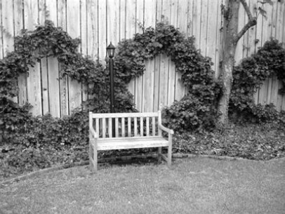 Иллюстрация к книге — Благоустройство территории вокруг коттеджа [i_097.jpg]