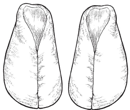 Иллюстрация к книге — Обувь для дома своими руками [i_113.jpg]