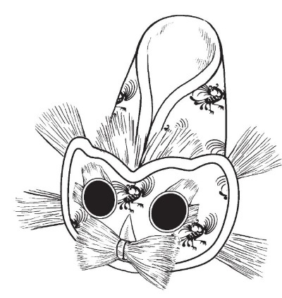 Иллюстрация к книге — Обувь для дома своими руками [i_120.jpg]