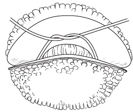 Иллюстрация к книге — Обувь для дома своими руками [i_172.jpg]