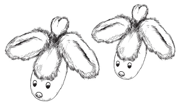 Иллюстрация к книге — Обувь для дома своими руками [i_247.jpg]