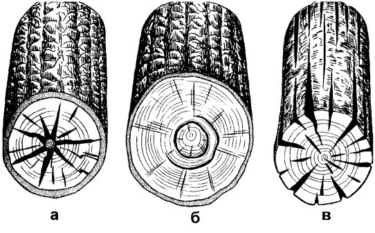 Иллюстрация к книге — Бани и сауны [i_005.jpg]