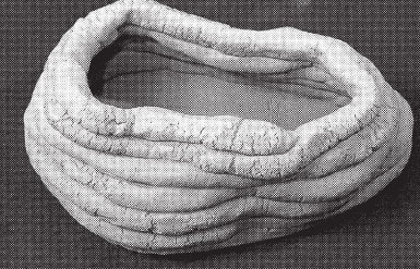 Иллюстрация к книге — Изделия из керамики [i_022.jpg]