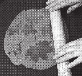 Иллюстрация к книге — Изделия из керамики [i_033.jpg]