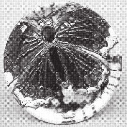 Иллюстрация к книге — Изделия из керамики [i_080.jpg]