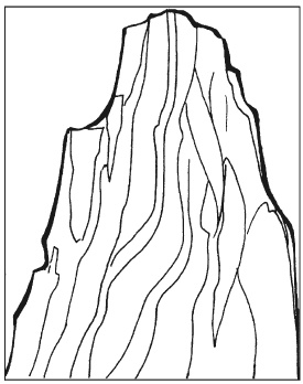 Иллюстрация к книге — Вышиваем гладью цветы и картины [autogen_ebook_id106.jpg]