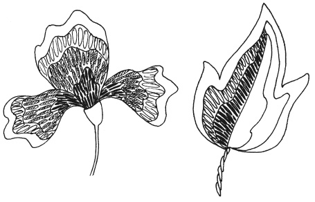 Иллюстрация к книге — Вышиваем гладью цветы и картины [autogen_ebook_id11.jpg]