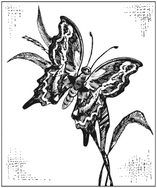 Иллюстрация к книге — Вышиваем гладью цветы и картины [autogen_ebook_id116.jpg]