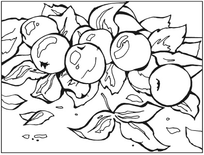 Иллюстрация к книге — Вышиваем гладью цветы и картины [autogen_ebook_id119.jpg]