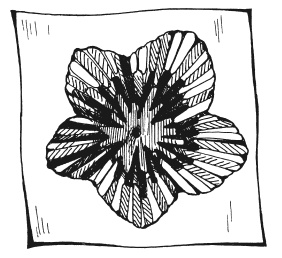 Иллюстрация к книге — Вышиваем гладью цветы и картины [autogen_ebook_id29.jpg]