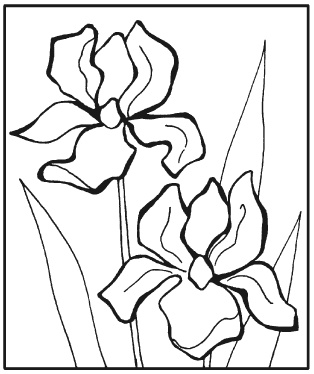 Иллюстрация к книге — Вышиваем гладью цветы и картины [autogen_ebook_id33.jpg]