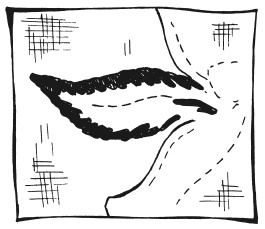 Иллюстрация к книге — Вышиваем гладью цветы и картины [autogen_ebook_id34.jpg]