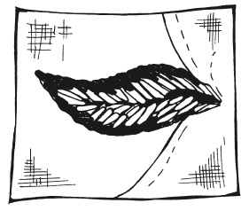 Иллюстрация к книге — Вышиваем гладью цветы и картины [autogen_ebook_id35.jpg]